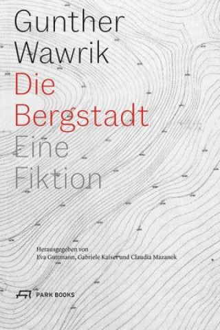 Kniha Die Bergstadt Eva Guttmann