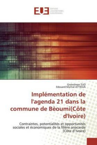 Carte Implementation de l'agenda 21 dans la commune de Beoumi(Cote d'Ivoire) Edouard Martial Attioua