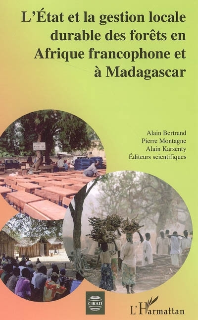 Book L'Etat et la gestion locale durable des for?ts en Afrique francophone et ? Madagascar Pierre Montagne