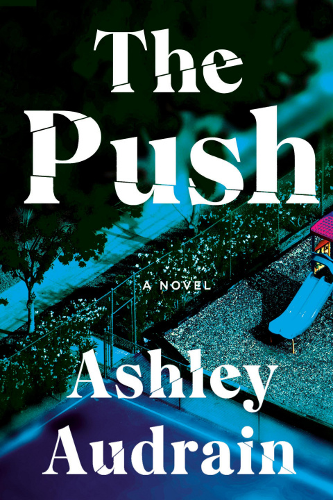 Knjiga Push Ashley Audrain