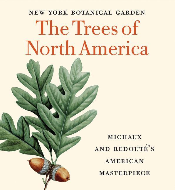 Kniha Trees of North America Gregory Long