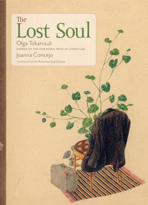 Book Lost Soul Joanna Concejo
