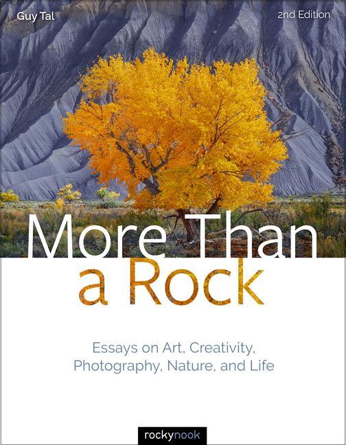 Kniha More Than a Rock 