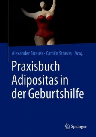 Kniha Praxisbuch Adipositas in der Geburtshilfe Carolin Strauss