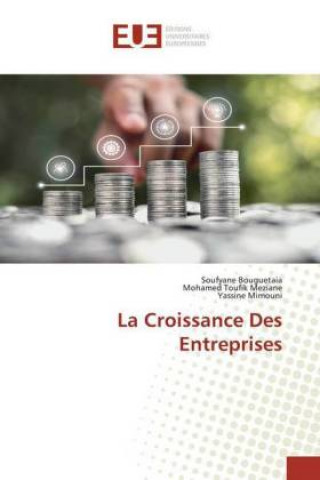 Könyv Croissance Des Entreprises Mohamed Toufik Meziane