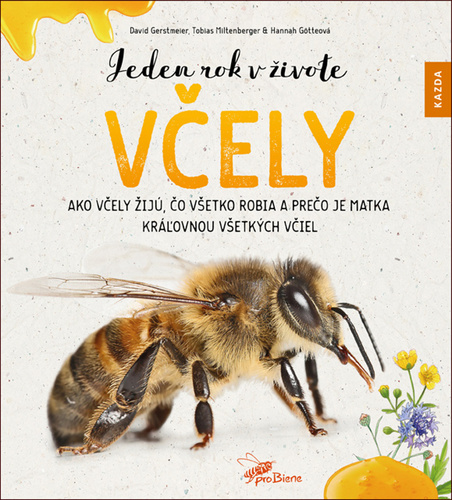 Book Jeden rok v živote včely David Gerstmeier