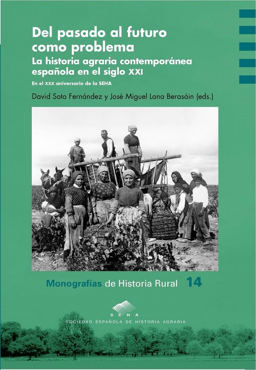 Buch Del pasado al futuro como problema DAVID SOTO FERNANDEZ