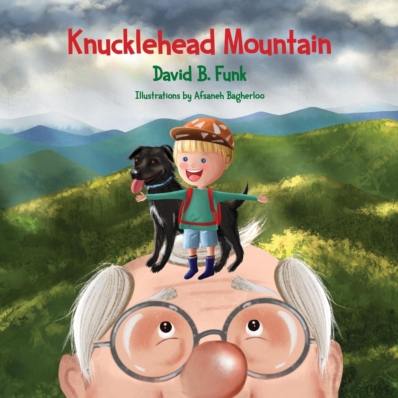 Knjiga Knucklehead Mountain David B. Funk