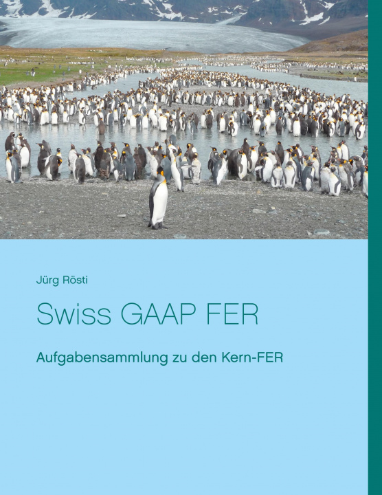 Kniha Swiss GAAP FER 