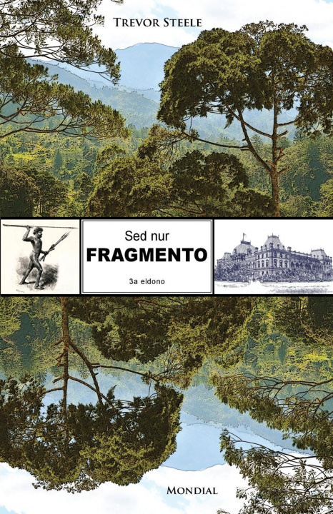 Book Sed nur fragmento (Originala romano en Esperanto) 
