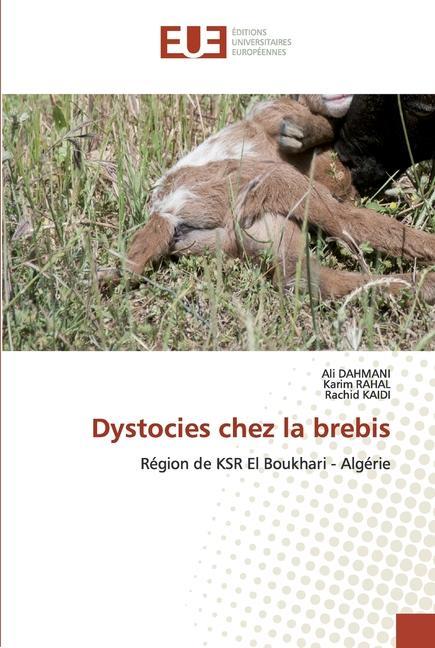 Book Dystocies chez la brebis Karim Rahal