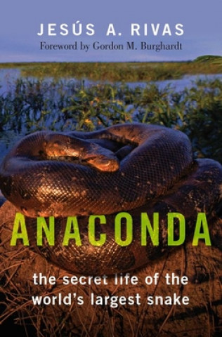 Book Anaconda Rivas