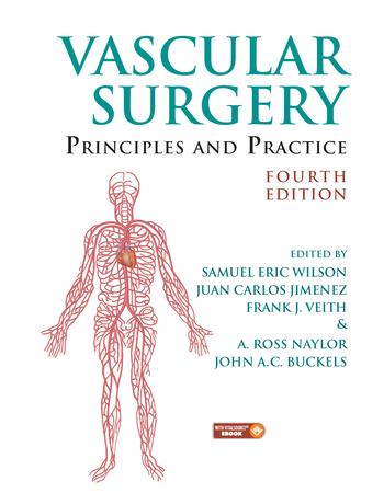Kniha Vascular Surgery Samuel Eric Wilson