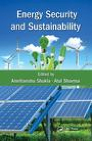 Könyv Energy Security and Sustainability 