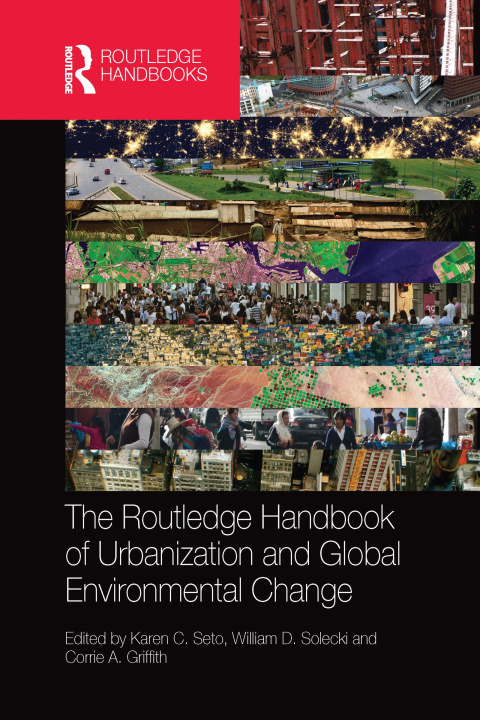 Könyv Routledge Handbook of Urbanization and Global Environmental Change 