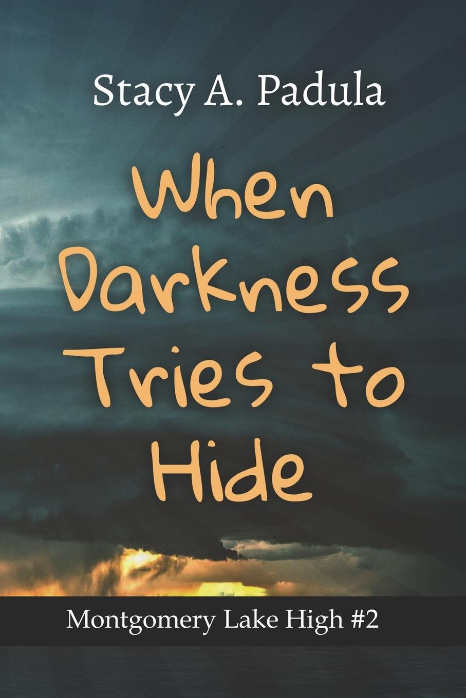 Boek When Darkness Tries to Hide STACY A PADULA
