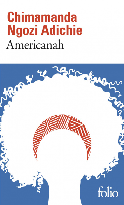 Könyv Americanah 