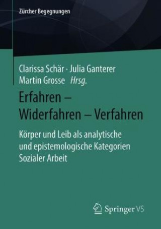 Knjiga Erfahren - Widerfahren - Verfahren Julia Ganterer