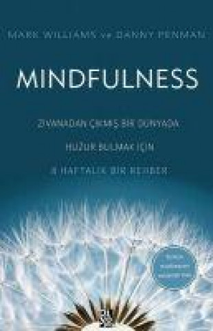 Kniha Mindfulness Danny Penman