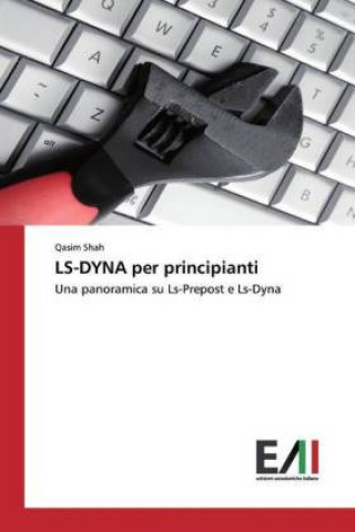 Buch LS-DYNA per principianti Qasim Shah
