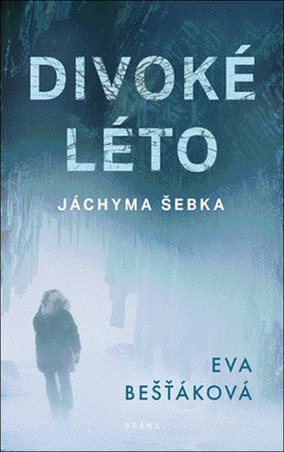 Könyv Divoké léto Jáchyma Šebka Eva Bešťáková
