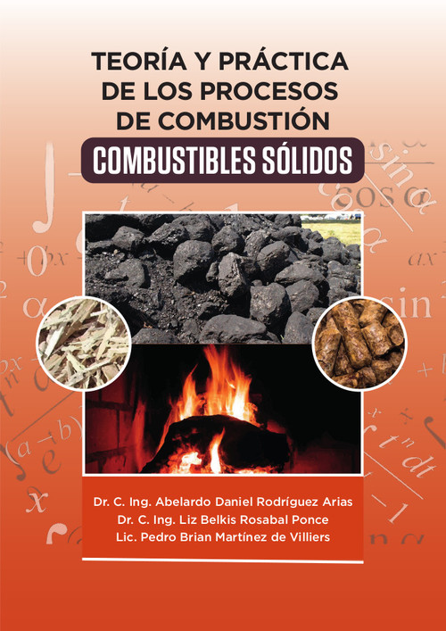 Kniha Teoría y Práctica de los Procesos de Combustión. Combusti LIZ ROSABAL