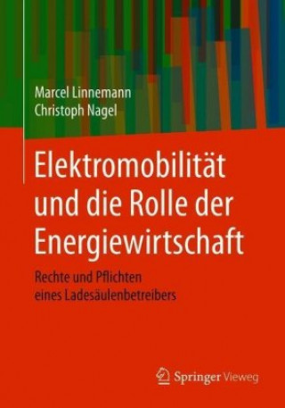 Carte Elektromobilitat Und Die Rolle Der Energiewirtschaft Christoph Nagel