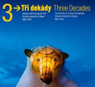 Kniha Tři dekády / Three Decades Vladimír Birgus