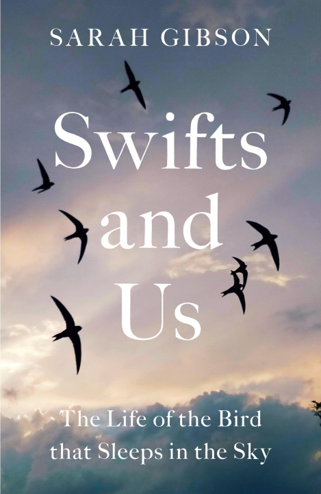 Kniha Swifts and Us Sarah Gibson