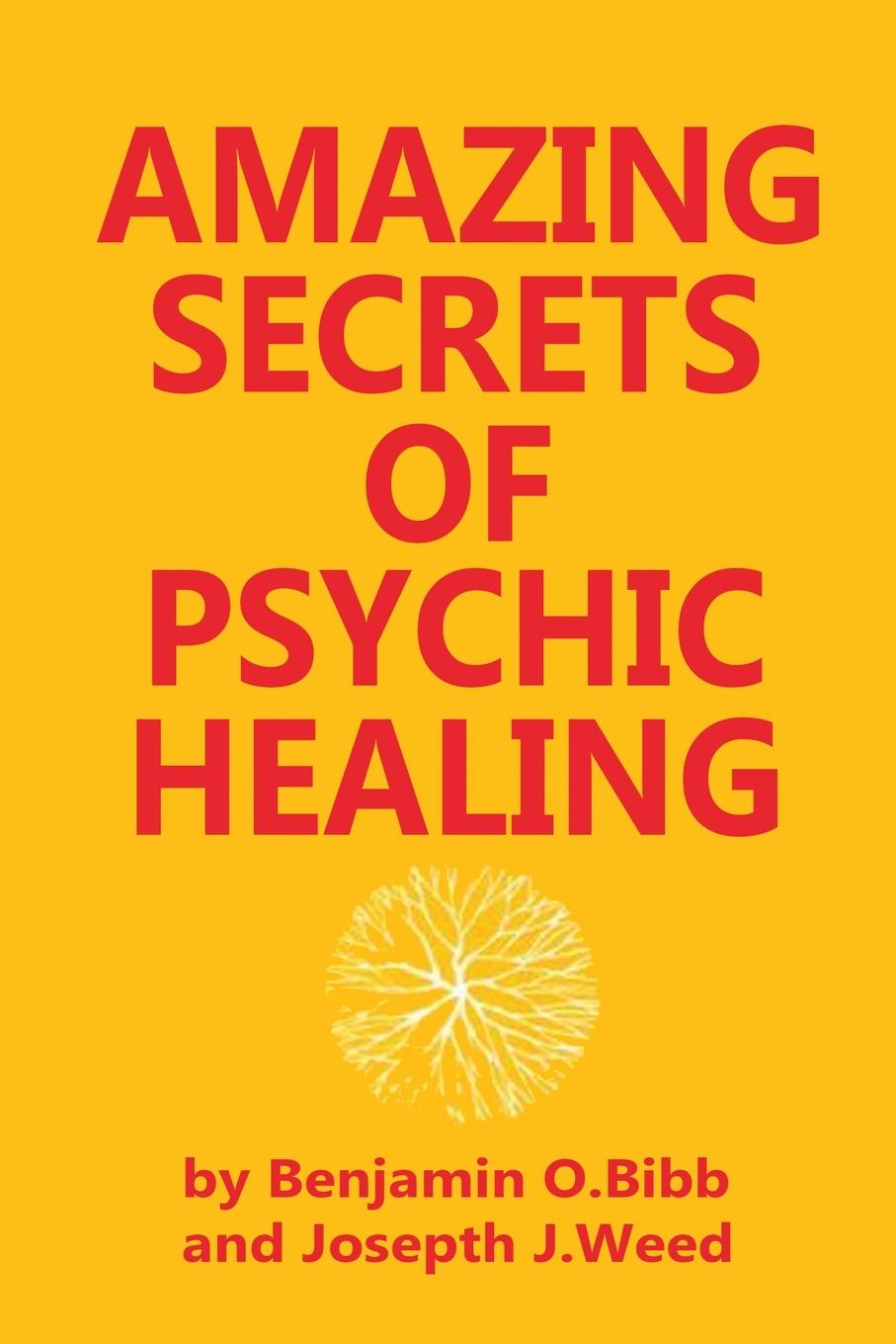 Knjiga Amazing Secrets of Psychic Healing Joseph J. Weed