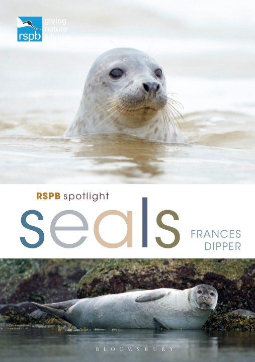 Kniha RSPB Spotlight Seals 
