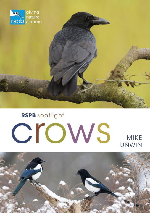 Książka RSPB Spotlight Crows 