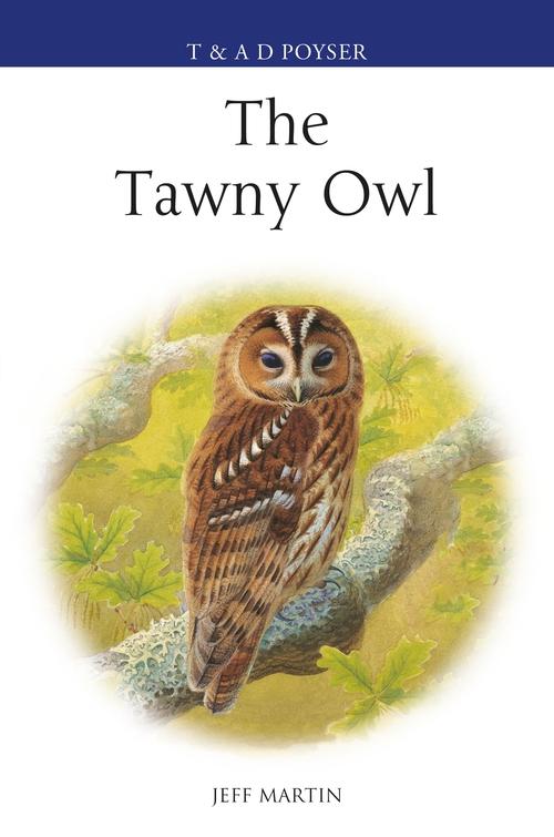 Könyv Tawny Owl 