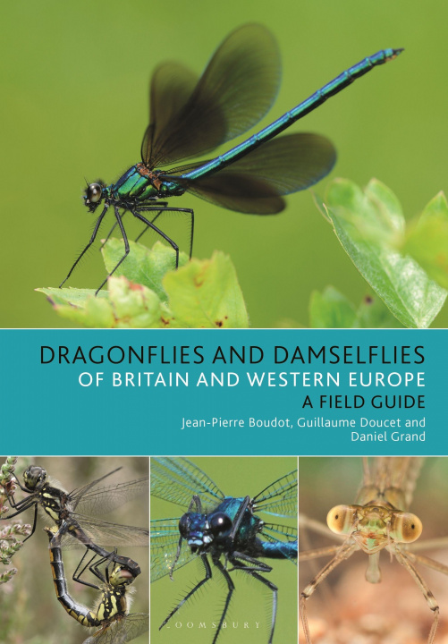 Kniha Dragonflies and Damselflies of Britain and Western Europe Guillaume Doucet