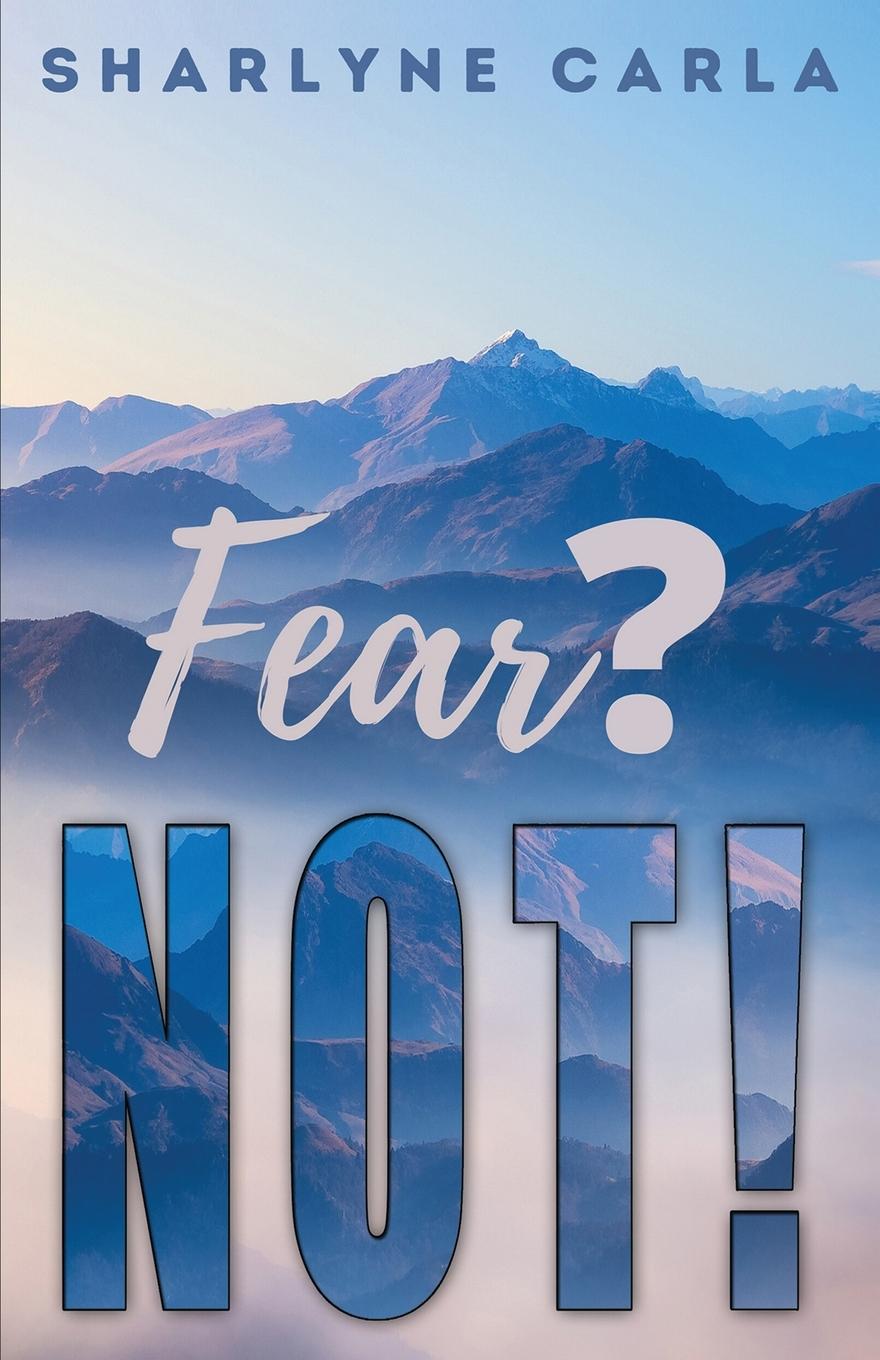Könyv Fear? NOT! Ruth L Baskerville