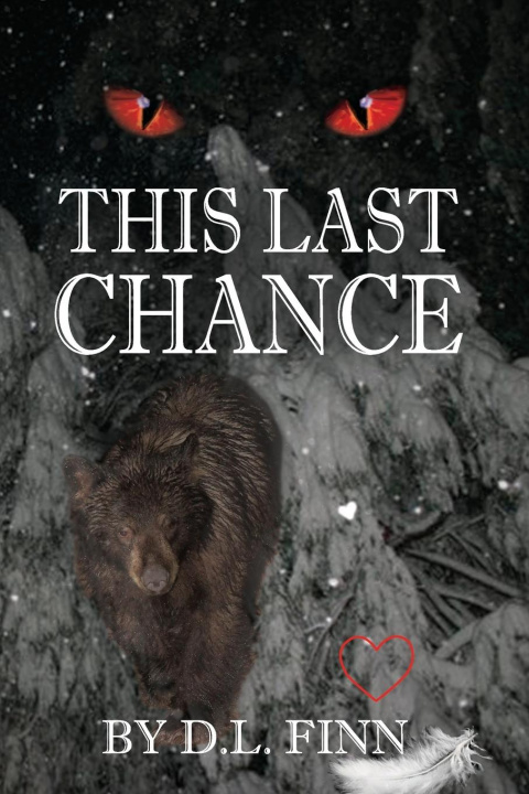 Kniha This Last Chance D. L. Finn