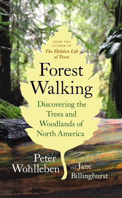 Könyv Forest Walking: Discovering the Trees and Woodlands of North America 