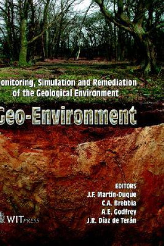 Libro Geo-environment C. A. Brebbia