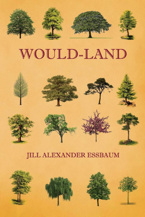 Buch Would-Land Essbaum Jill Alexander Essbaum