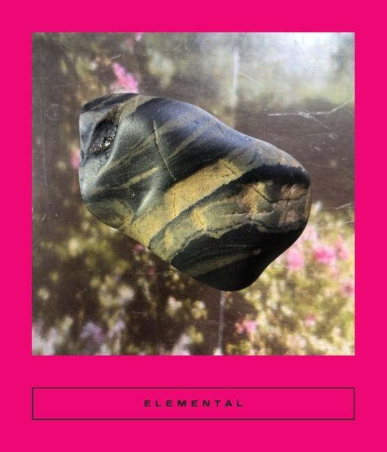 Knjiga Elemental: Earth Stories Sarah Coolidge