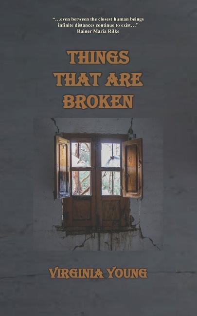 Boek Things That Are Broken Virginia Young