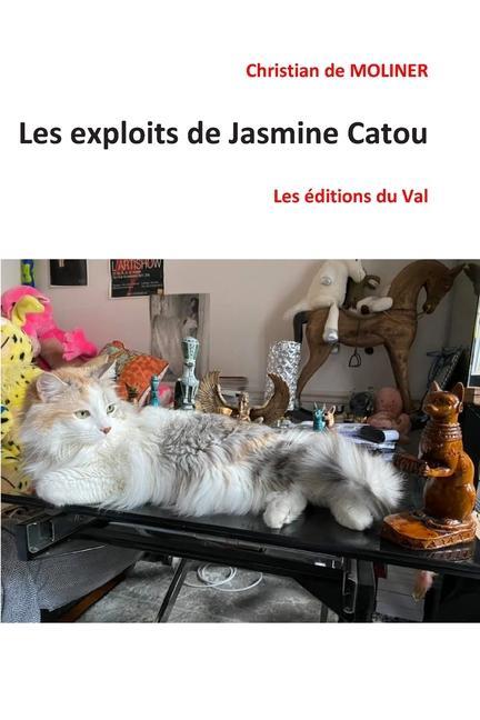 Knjiga Les exploits de Jasmine Catou: Les éditions du Val Christian De Moliner