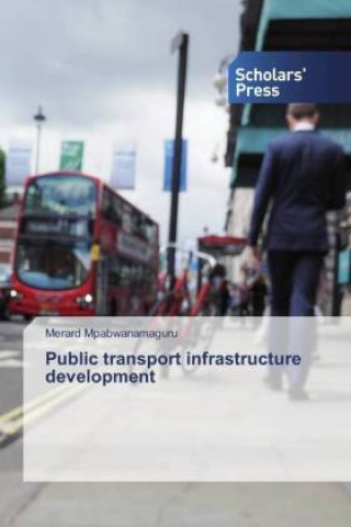 Kniha Public transport infrastructure development 