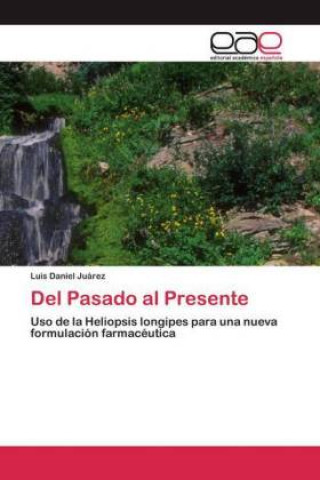 Knjiga Del Pasado al Presente Luis Daniel Juárez