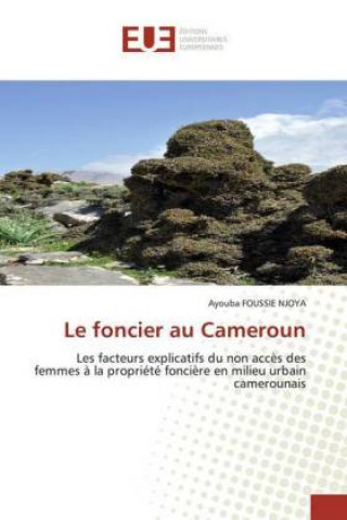 Carte foncier au Cameroun 
