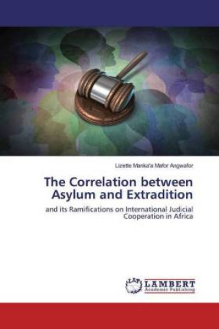 Kniha Correlation between Asylum and Extradition 