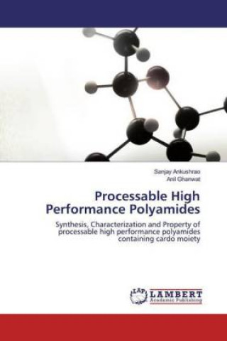 Knjiga Processable High Performance Polyamides Anil Ghanwat
