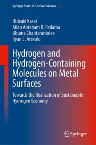Книга Hydrogen and Hydrogen-Containing Molecules on Metal Surfaces Allan Abraham B. Padama