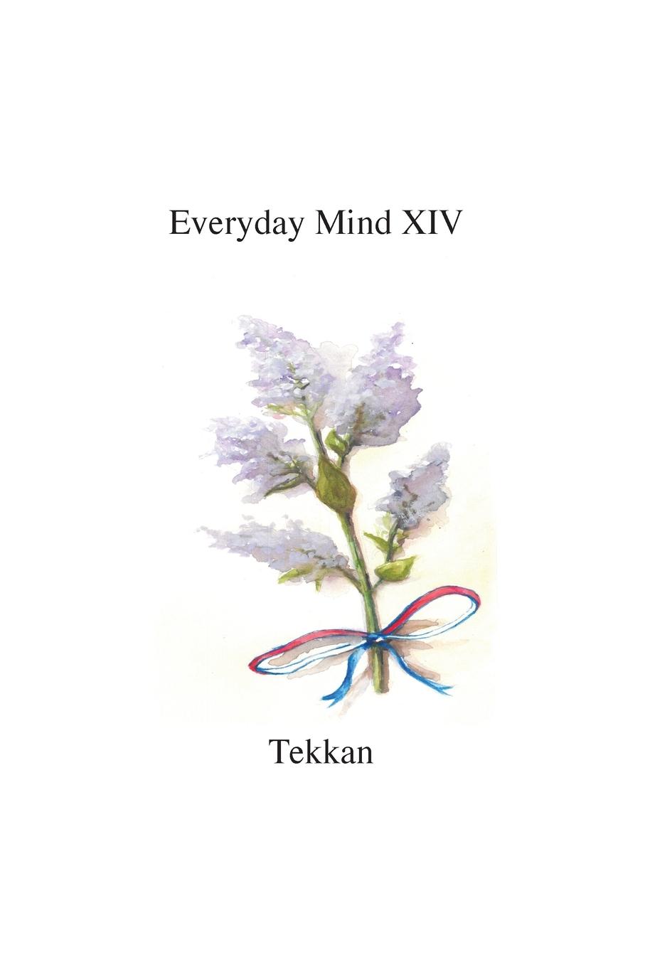 Βιβλίο Everyday Mind XIV Tekkan