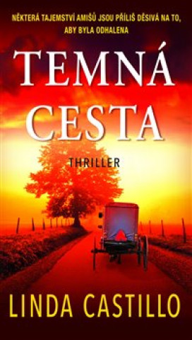 Книга Temná cesta Linda Castillo